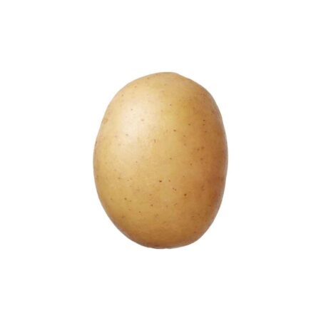Lucera